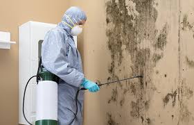 Mold Odor Removal Services in Gonzales, LA